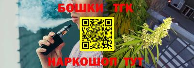 индика Беслан