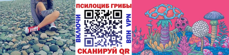 как найти   Дзержинский  Псилоцибиновые грибы прущие грибы 